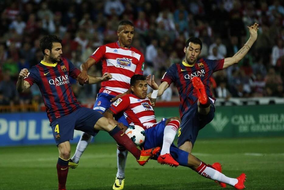 籍专家团队 籍专家团队