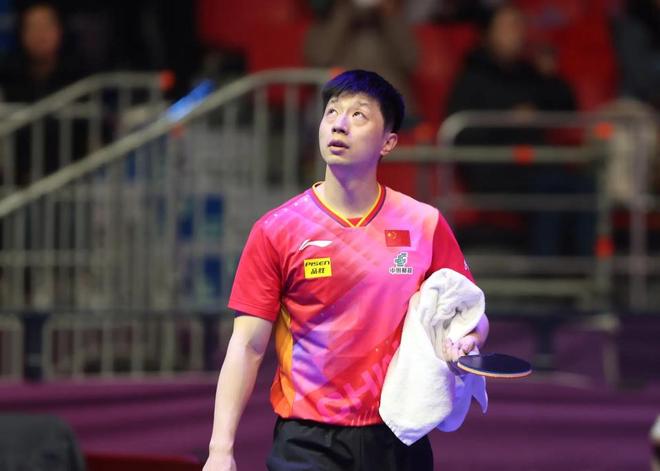 乒乓球的参 乒乓球的参