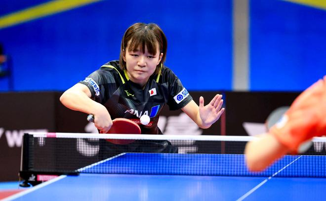 更新等活动 更新等活动