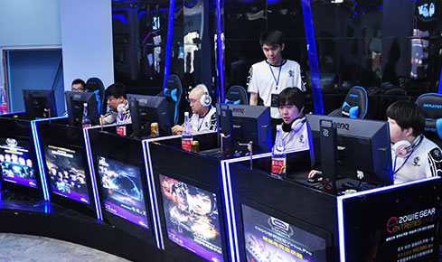 这句朴素的 这句朴素的